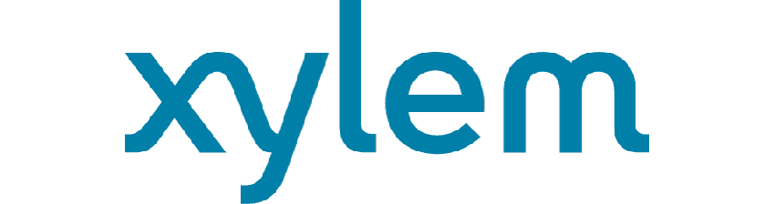 Xylem